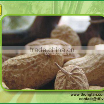 Peanut supplier good Price, hight quality