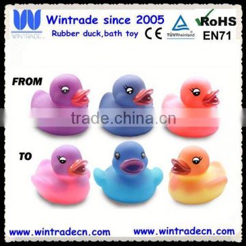 Duck shape color change toy