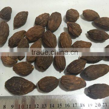 Black Cardamon Big Size/cardamon Without Stem/black Cardamon photo-4