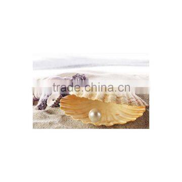 Pearl Whitening Moisturizing Facial Mask photo-3