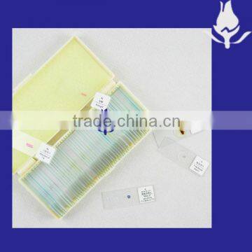 Microscope Slides Set Beginners slides set