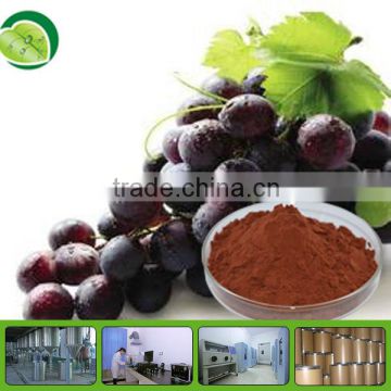 95% OPC from Grape seed extract powder