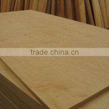 White Birch Plywood