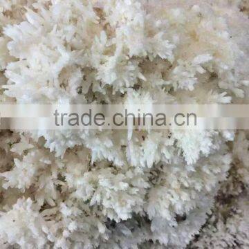 Wholesale Vharming Amazing Nature White Crystal Quartz Cluster for Home Decoration photo-3