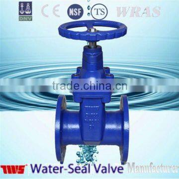 DN65-DN300 Ductile Iron Gate Valve