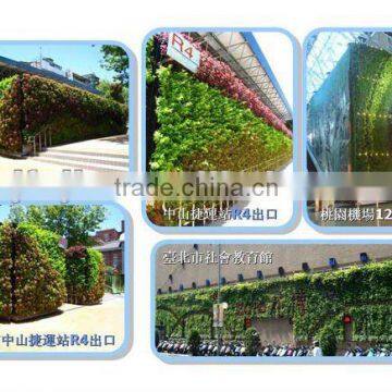 vertical garden green wall with self drainning