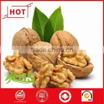 new stock Walnut Kernels for sale