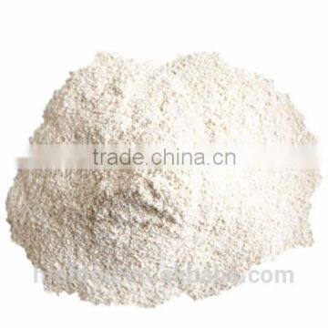 Dehydrated Horseradish Powder