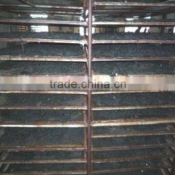 2015 Hot sale Machine Dried cut kelp(shredded lamianria)