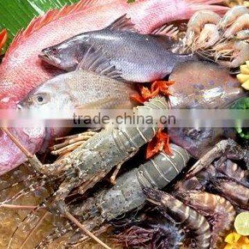 ASSORTED SEA FOOD FLAVOR/SEASONINGS