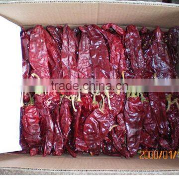 Dry red paprika pods for Mexico Market