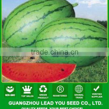 W22 Xiaoyu no.9 small size very sweet watermelon seeds for planting