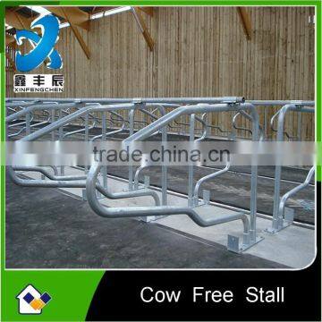 High Quality Galvanized Cattle Free Stall