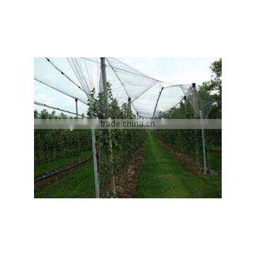 Lightweight crop protection anti-hail net in rolls to wholesale