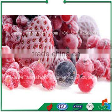 China IQF Frozen Fruit Freezer Quick Freezing Machine photo-6