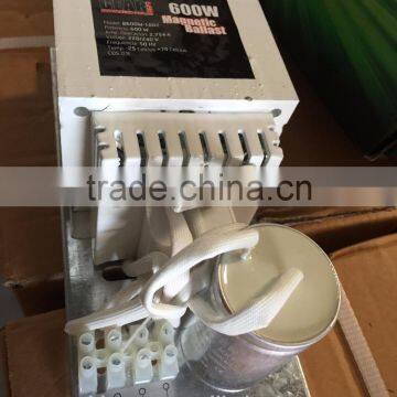 Grow Light 600w Open Ballast photo-4