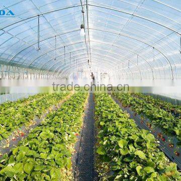 Tunnel Greenhouse photo-3
