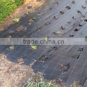 Weed Control Mat Export to Europe photo-4