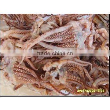 Frozen Squid Tentacles