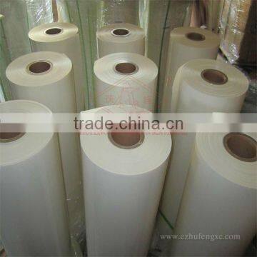 polyester film /mylar film 6021