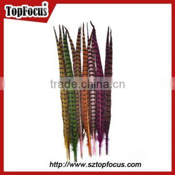 High Quality for Showgirl Carnival Costume Ringneck Tail Pheasant Feathers photo-5