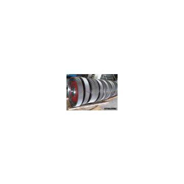 Spur Gear