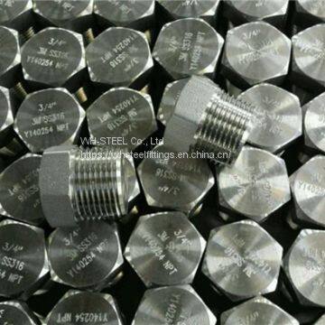 Threaded Plug