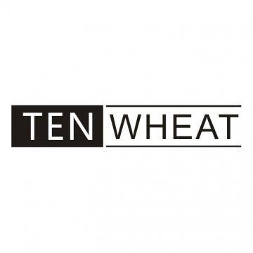 Guangzhou TenWheat Musical Instrument Co.,Ltd company overview - view 1
