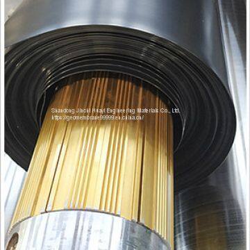 Shandong Taian 8 m wide 2.0 mm thick HDPE geomembrane plant