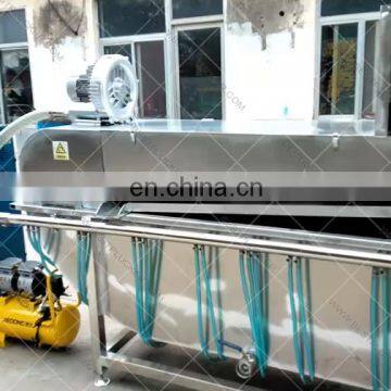 Ethiopia chicken farm poultry equipment for sale stainless steel poultry chicken picker machine