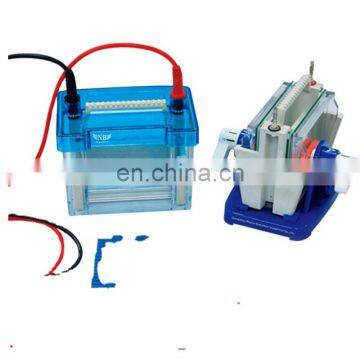 Vertical gel electrophoresis system with electrophoresis power supply