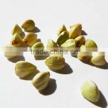 organic buckwheat kernel