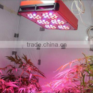 HL-G80A Led Grow Lights for Plants photo-2