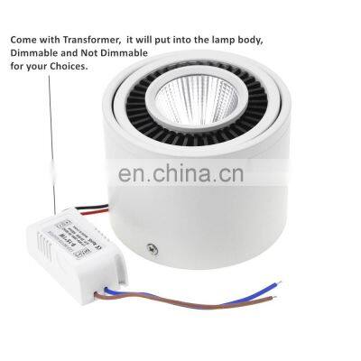 Adjustable Modern Ceiling Downlight Cob Lights Downlight Ceiling Surface Mounted LED Downlights