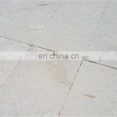 Natural Stones Premium Fossil Limestone Pavers and Tiles  Polished and Honed cut to size Made in Turkey Factory CEM-P-62-12