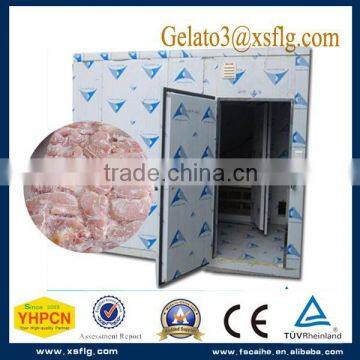 Cheap cooler freezer equipment fast freezer