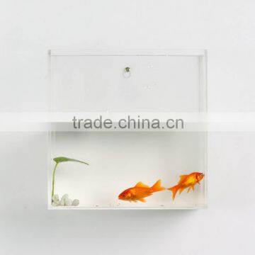 customized wall mounted/hanging clear square acrylic fish tank,mini fishbowl