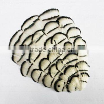 Lady amhurst pheasant feather pad in wholesale