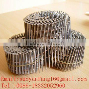 Galvanized Coil Nail (professional factory)