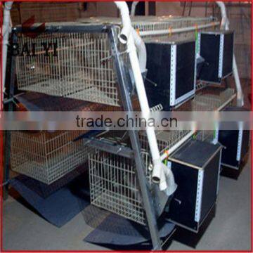 BAIYI Mesh Company Rabbit Cage Industrial Sale High Quality Wire Mesh Commercial Rabbit Cage