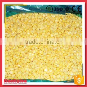 IQF Frozen Sweet Corn Price