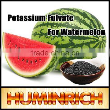 Huminrich Shenyang 70HA+15FA+6K2O Fertilizantes Para El Melon