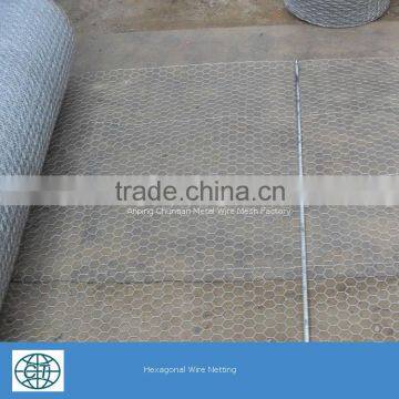 Galvanized Wire PVC Coated Wire Chicken Wire Mesh