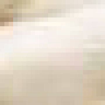 Wholesale Natural White Color Mink Skin or Pelt photo-3