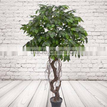 Unique Artificial Ficus Tree With Real Trunk For Decoration