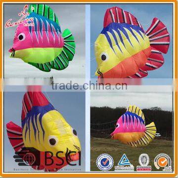 Fish kite, inflatble kite, large show kite from weifang kite factory.                        
                                                Quality Choice