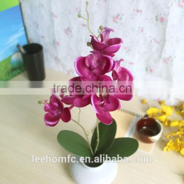 preserved artificial orchid in white pot for home decoration