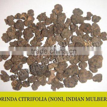 MORINDA CITRIFOLIA