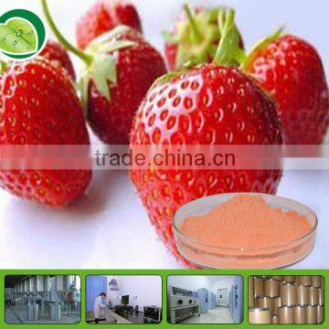 GMP factory of organic strawberry powder