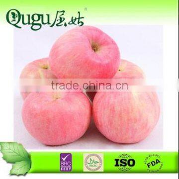 Top Quality Huaniu Apple from China